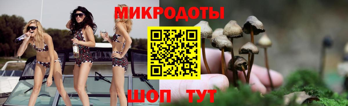 Псилоцибиновые грибы Psilocybine cubensis  Вход с VPN  Старая Купавна  Галлюциногенные грибы прущие грибы 